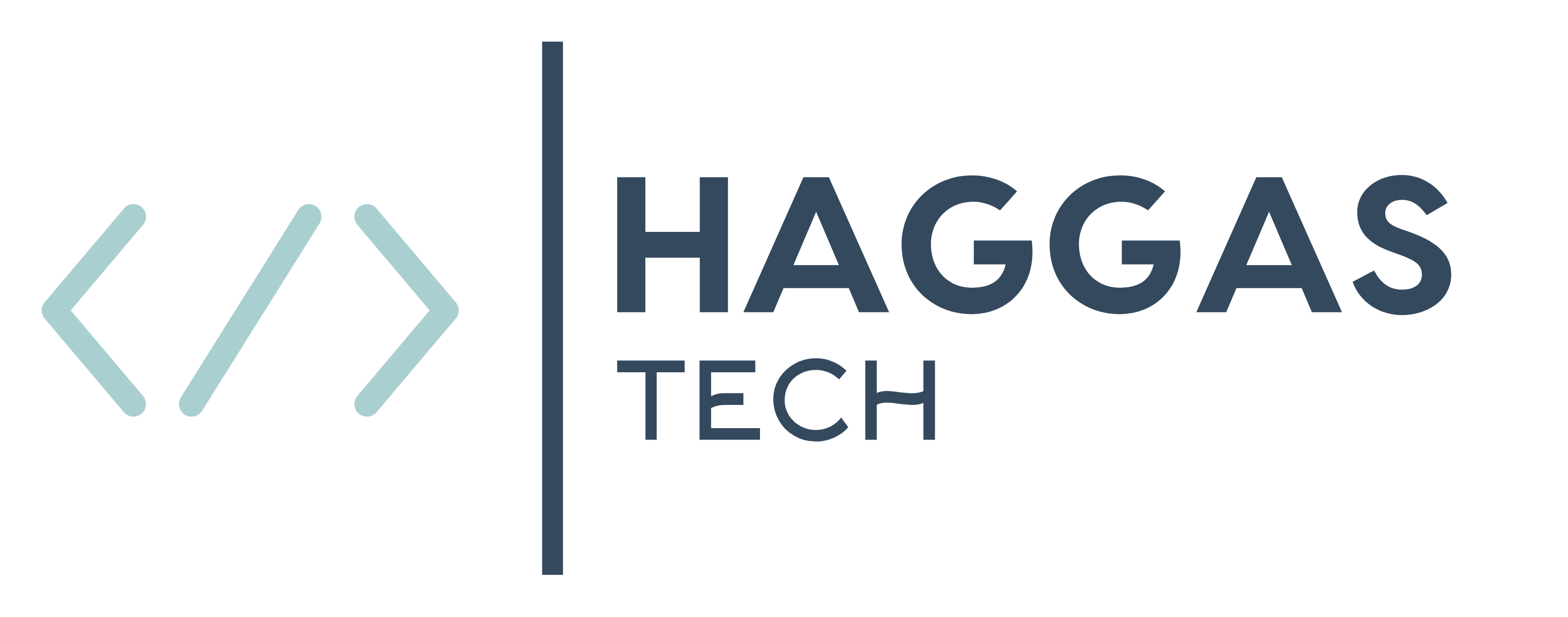 HaggasTech